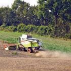 Einsam zieht der CLAAS LEXION 580 seine Runden ....