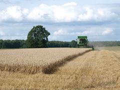 Einsam zieht der John Deere HillMaster T 560 i GPS gesteuert seine Bahnen ....