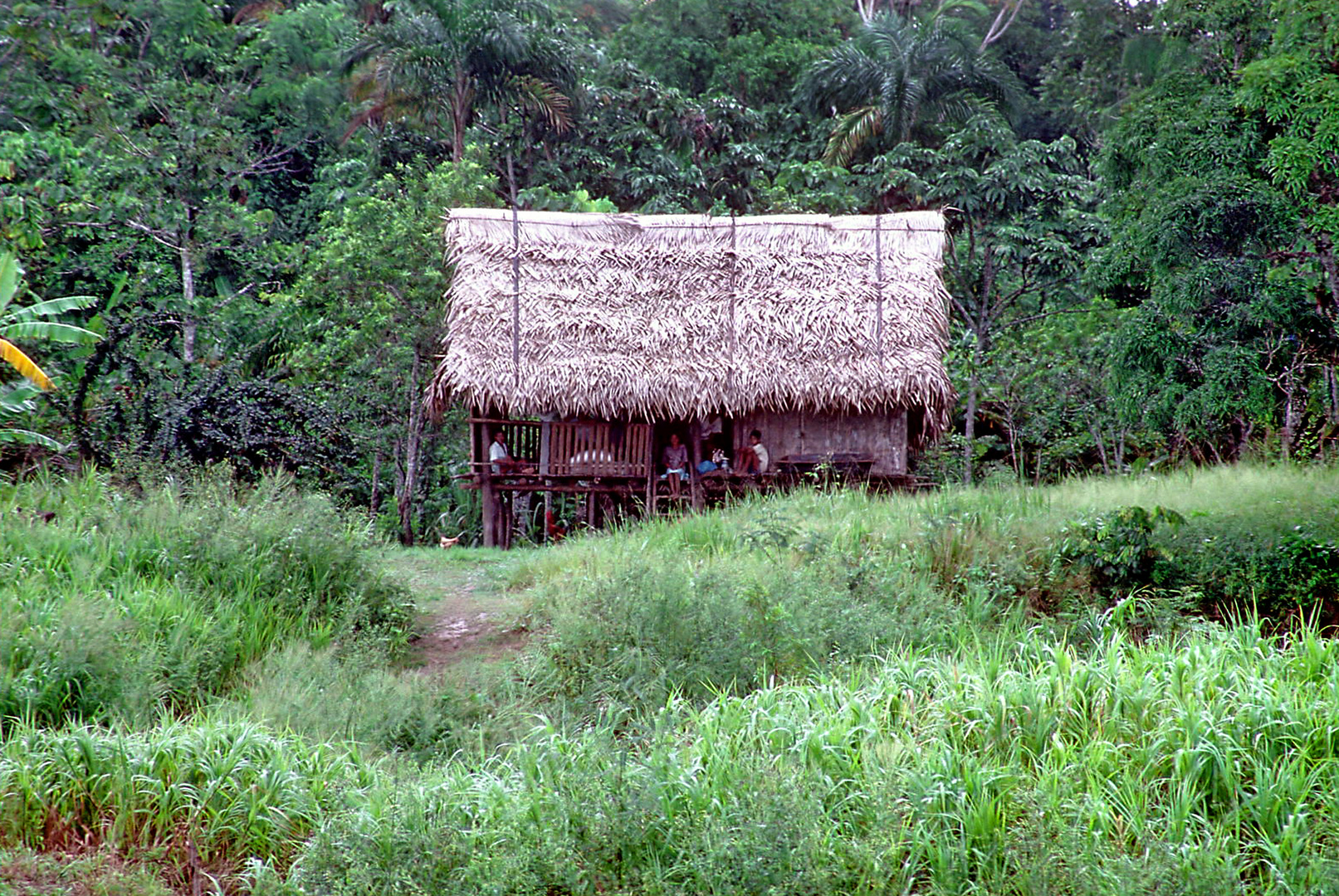 Einsame, allein stehende Hütte am peruanischen Amazonas