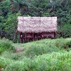 Einsame, allein stehende Hütte am peruanischen Amazonas