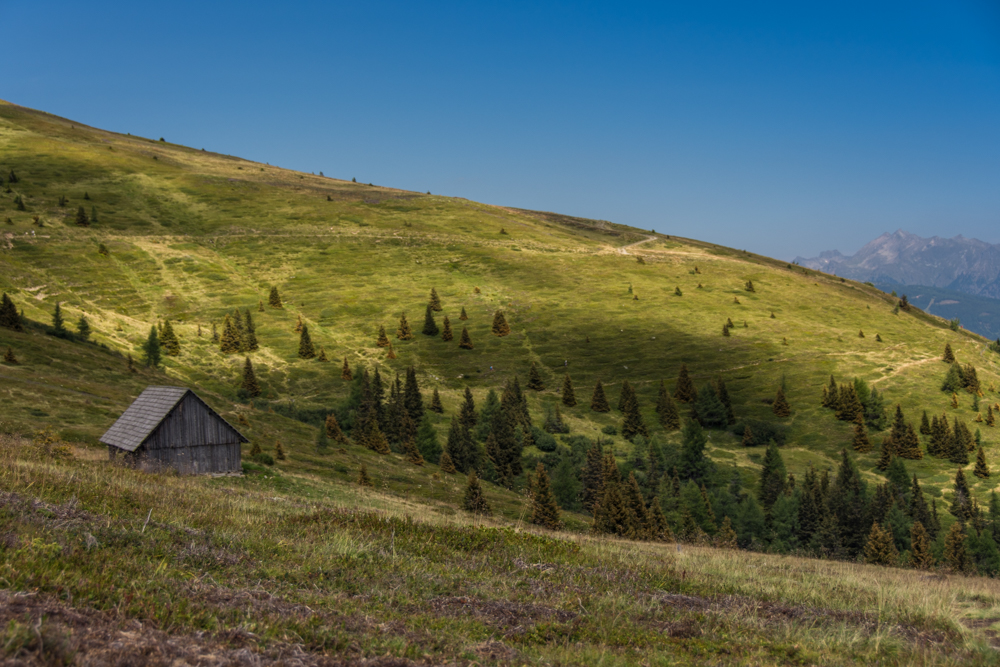 Einsame Almhütte