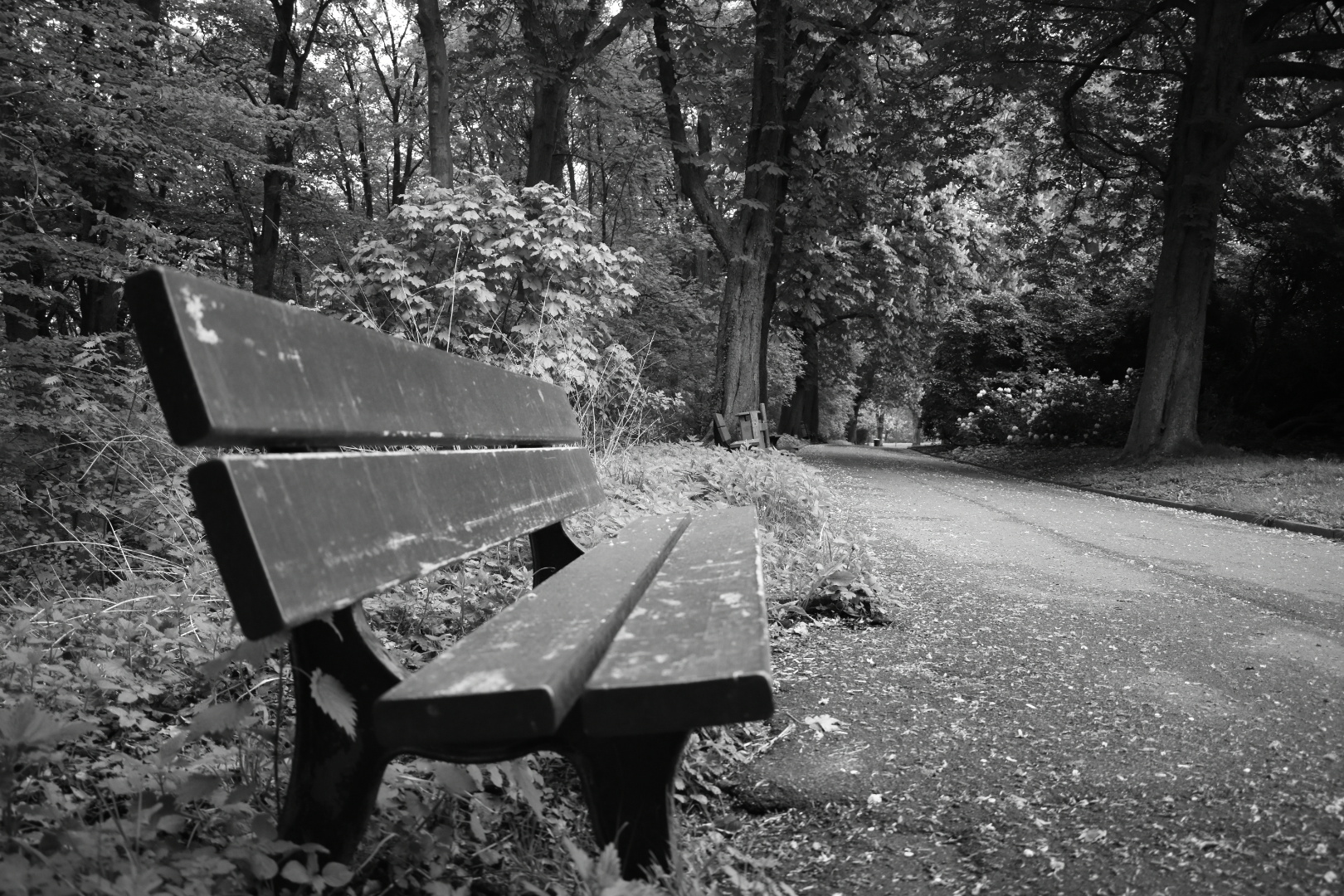 Einsame Bank Foto Bild Fotos Natur Bank Bilder Auf Fotocommunity