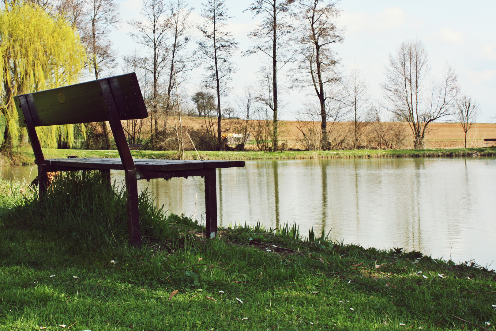 Einsame Bank am See p Foto & Bild landschaft, bach, fluss & see, see