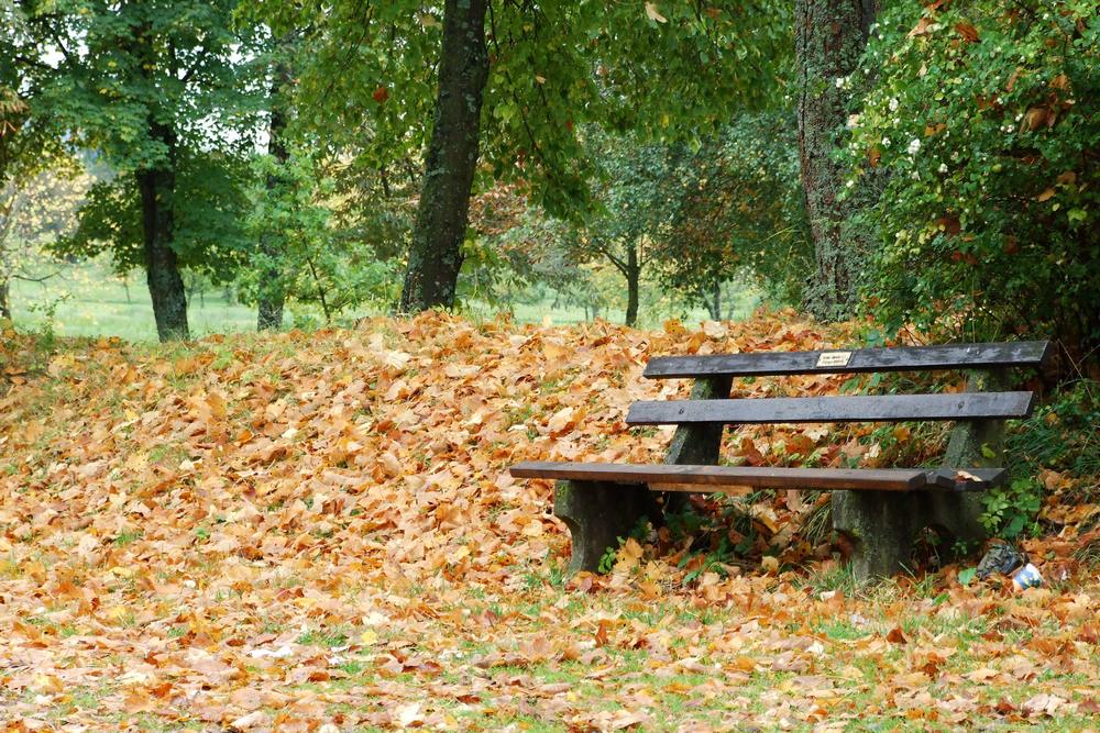 Einsame Bank Im Herbst Foto Bild Jahreszeiten Herbst Natur Bilder Auf Fotocommunity
