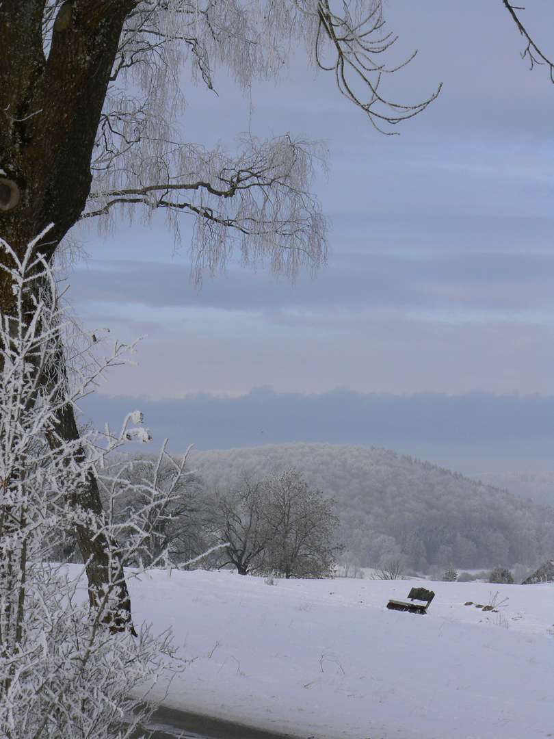 Einsame Bank im Winter