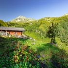 Einsame Ecke im Nationalpark Hohe Tauern