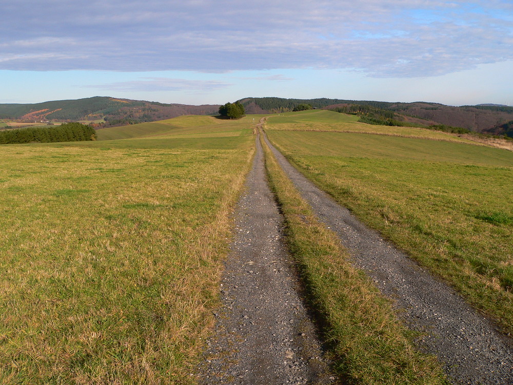 Einsame Eifel