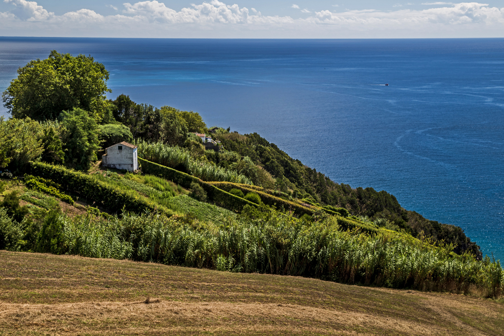 Einsame Häuschen in der Caloura Bucht