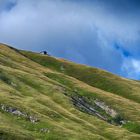 Einsame Hütte