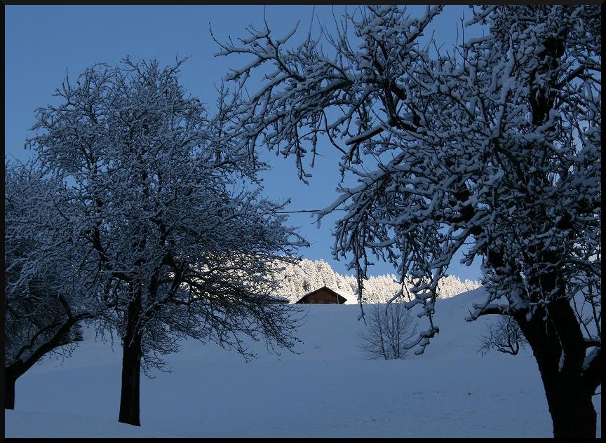 Einsame Hütte