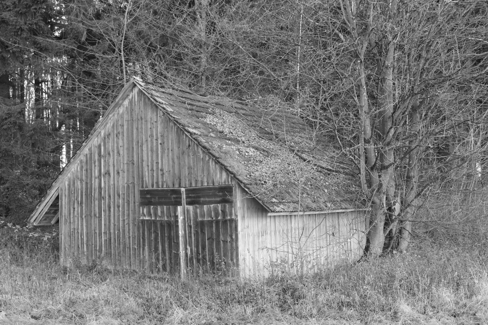Einsame Hütte