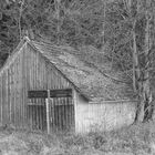 Einsame Hütte am Waldrand