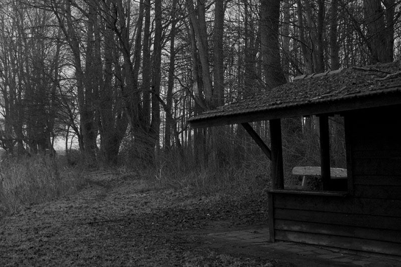 Einsame Hütte im dunklen Wald