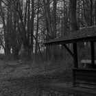 Einsame Hütte im dunklen Wald