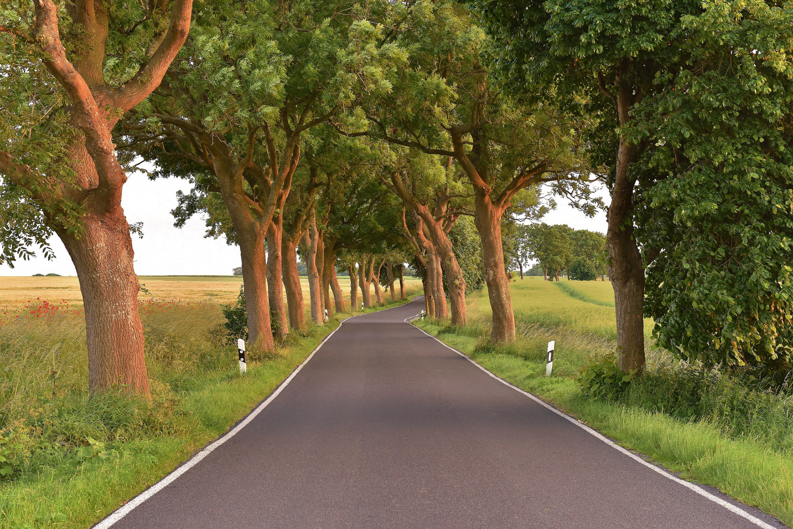 einsame Landstraße im Norden Rügens