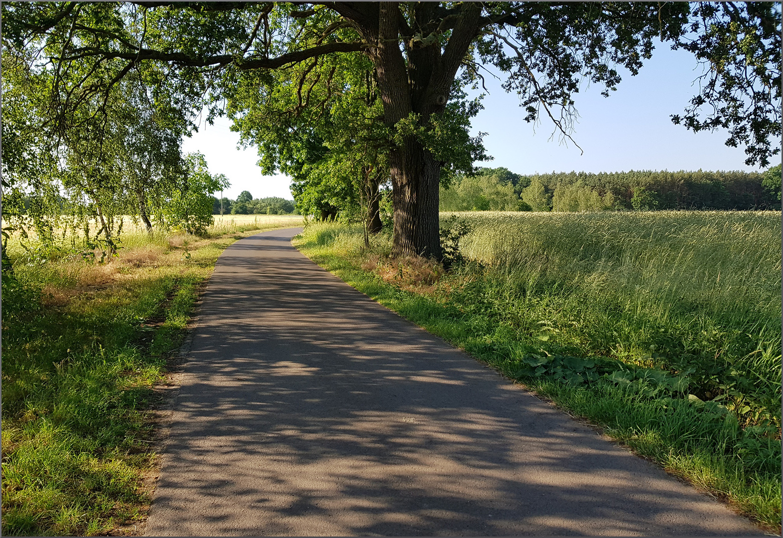 Einsame Landstraßen 