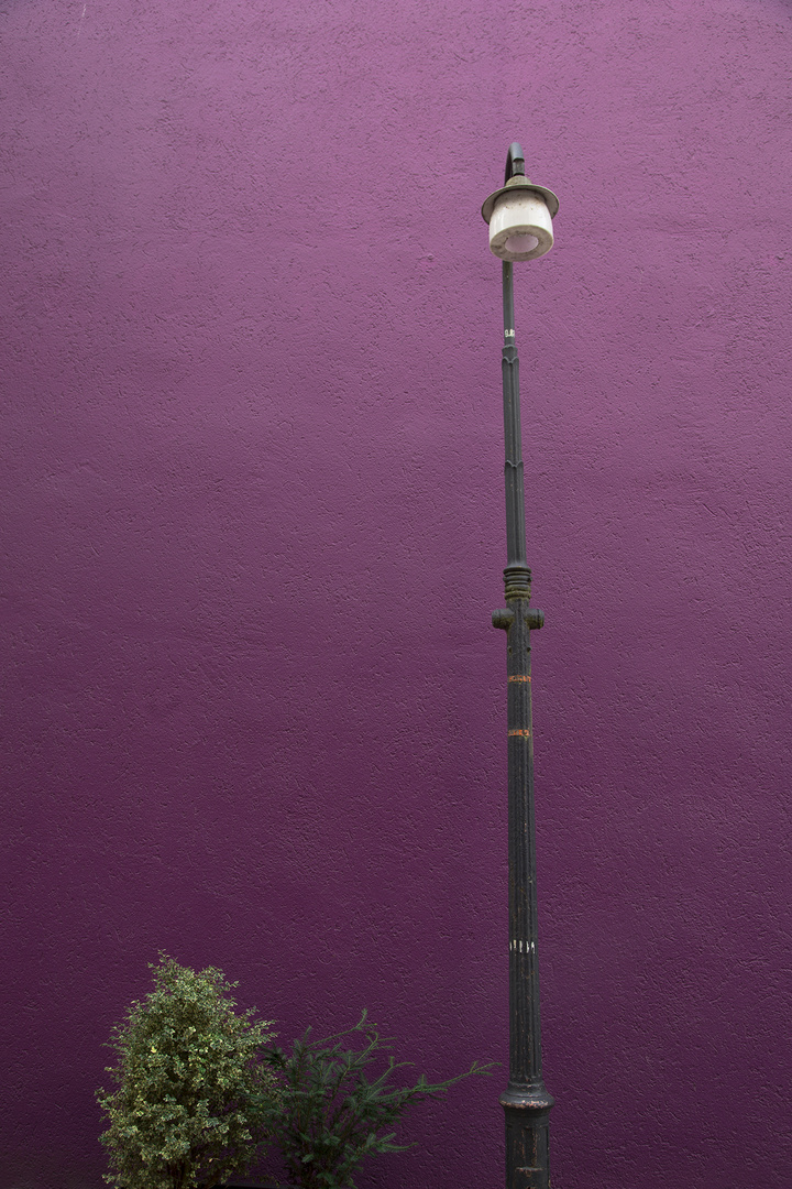 einsame Laterne auf einem lila Wand Hintergrund