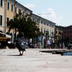 Einsame Promenade am Gardasee