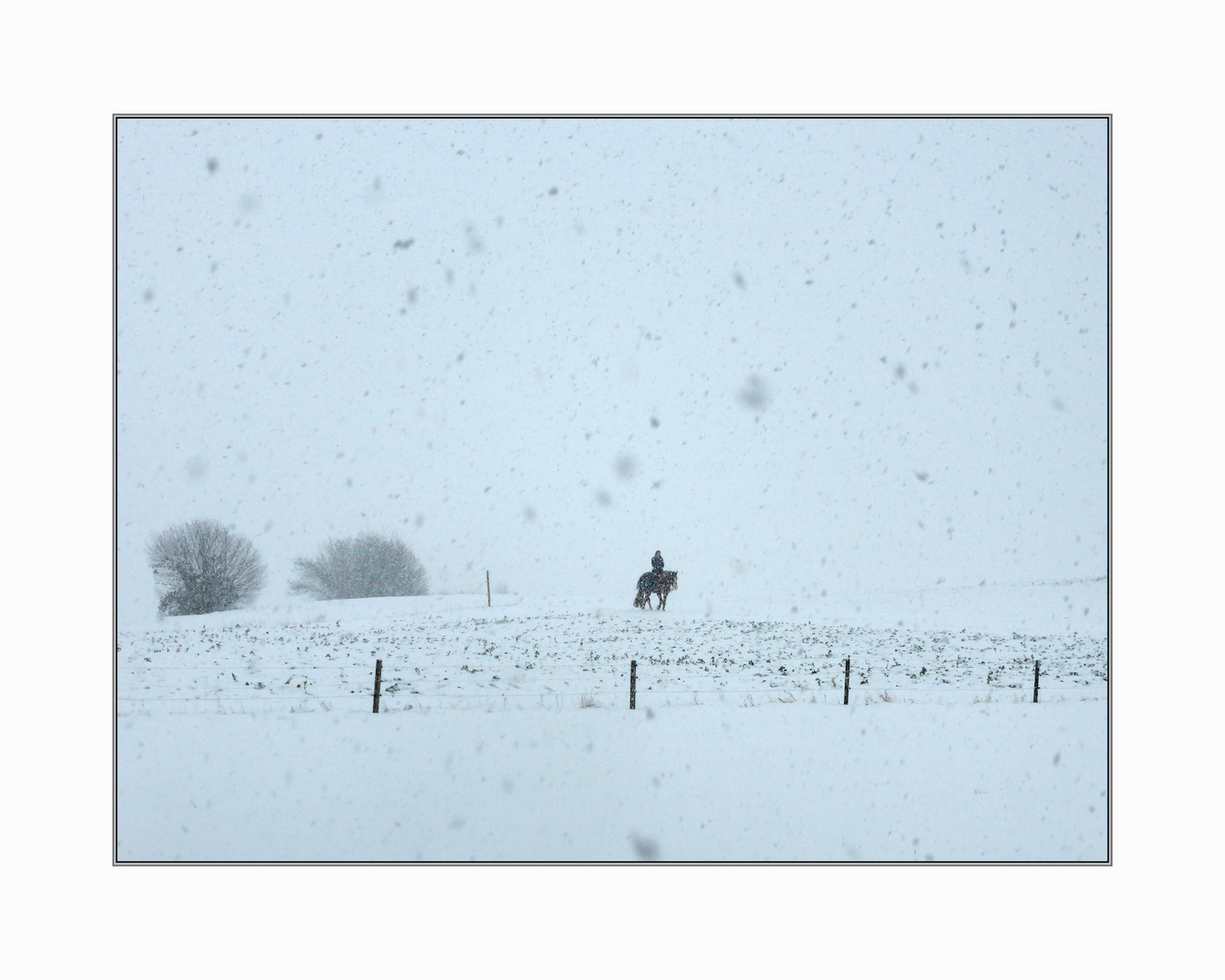 Einsame Reiterin im Schnee