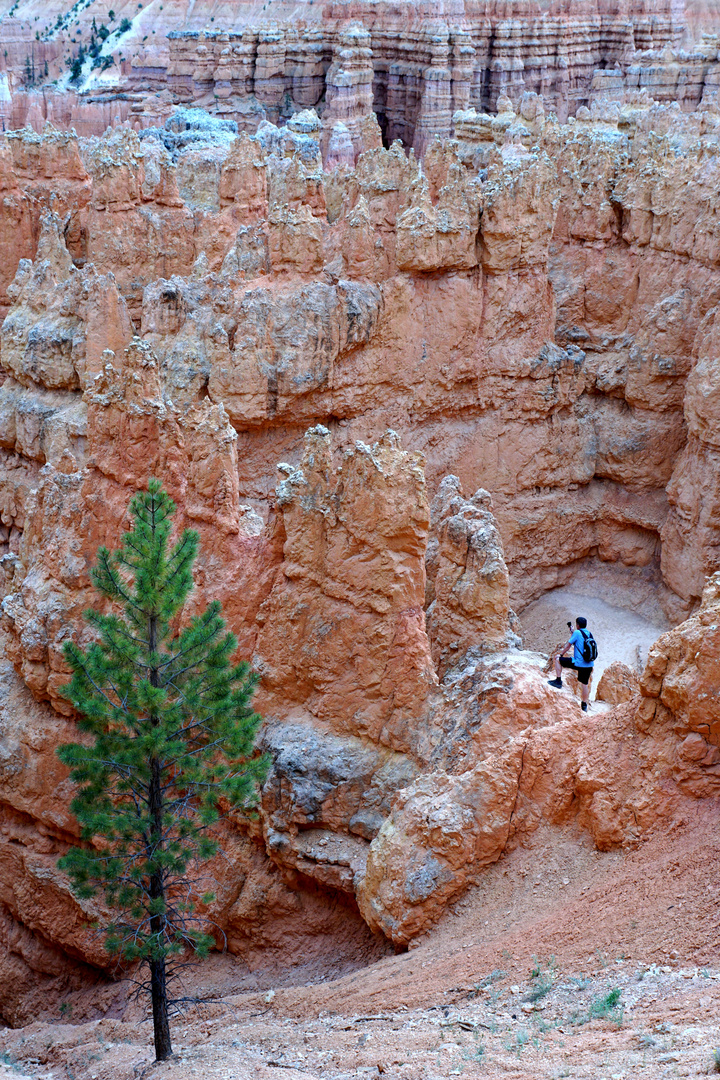 Einsame Schluchtwanderung im Bryce Canyon