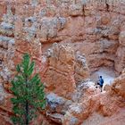 Einsame Schluchtwanderung im Bryce Canyon