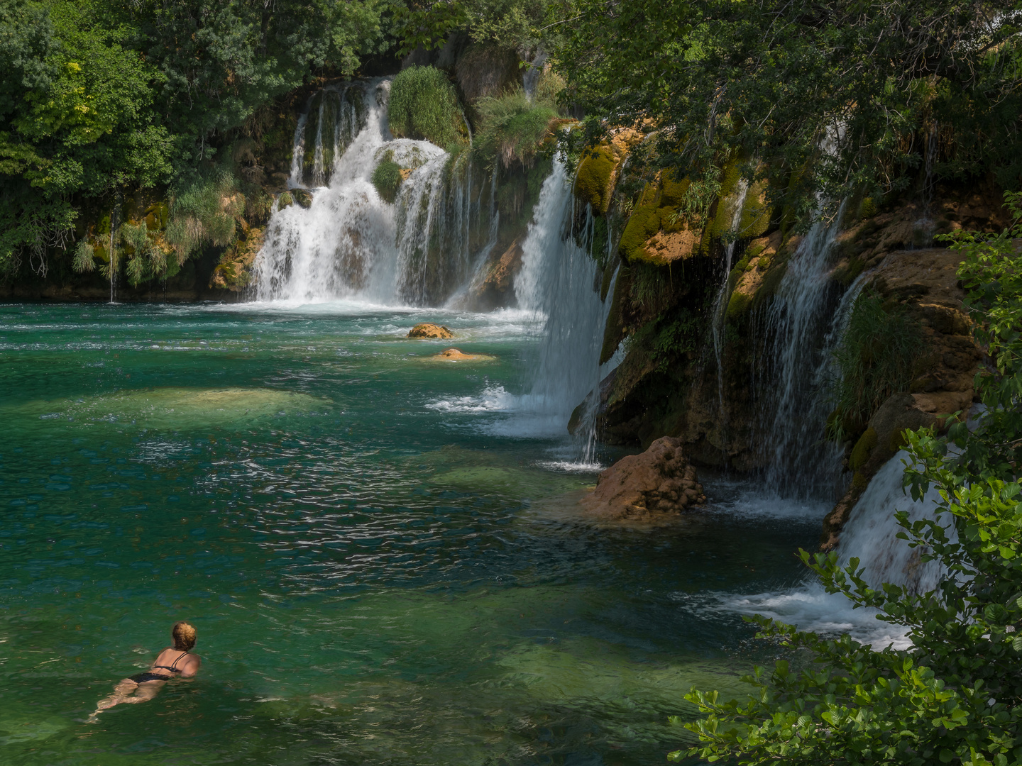 Einsame Schwimmerin im Krka