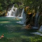 Einsame Schwimmerin im Krka