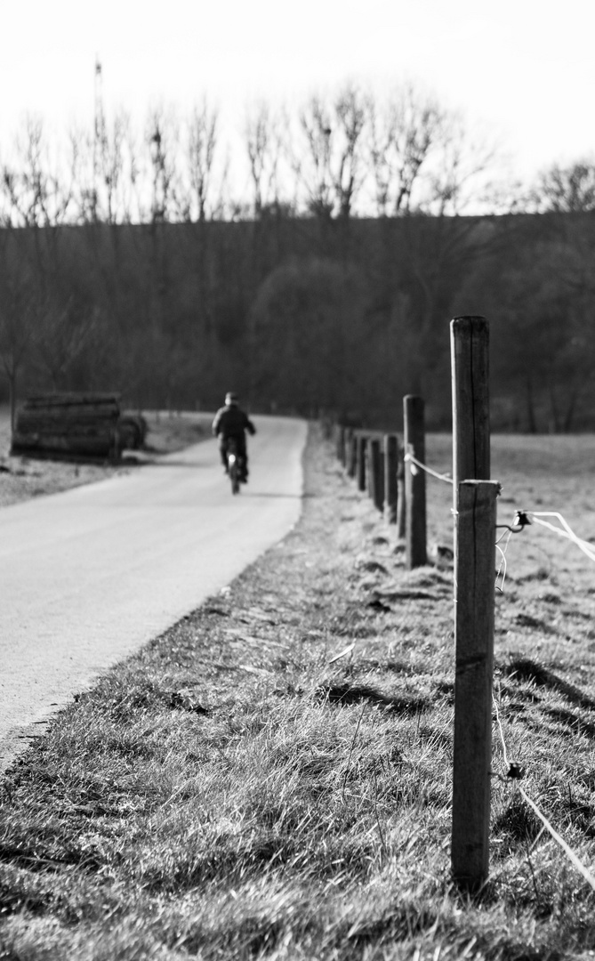 Einsame Spatzierfahrt am Waldweg