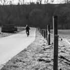 Einsame Spatzierfahrt am Waldweg