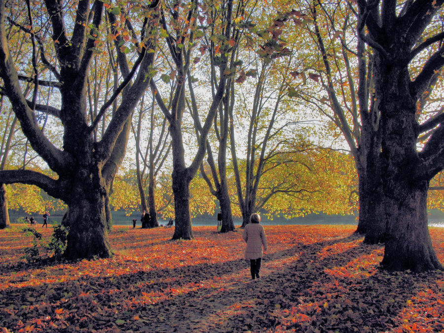 Einsame Spaziergängerin im Herbst