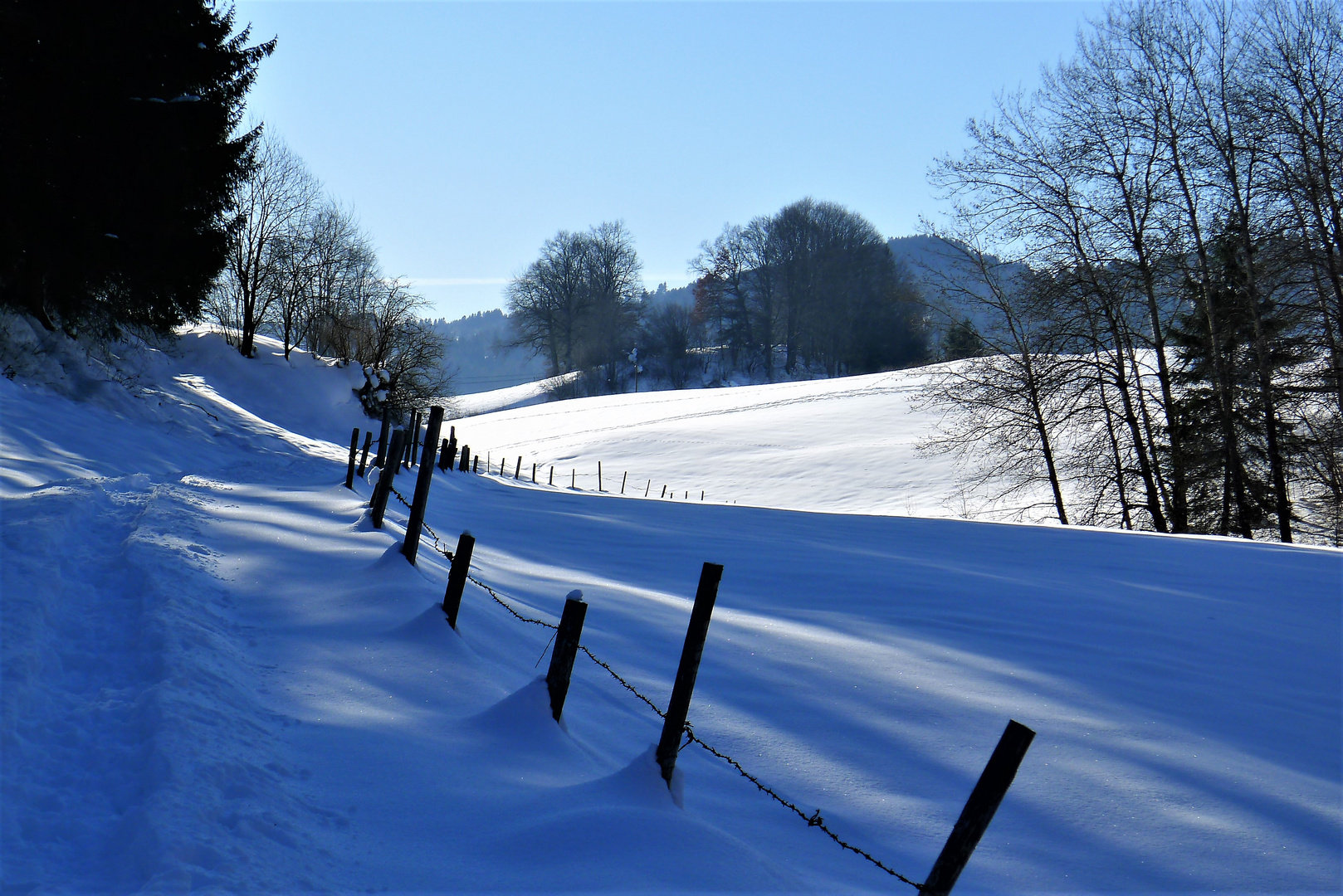 Einsame Spur; eiskalt!