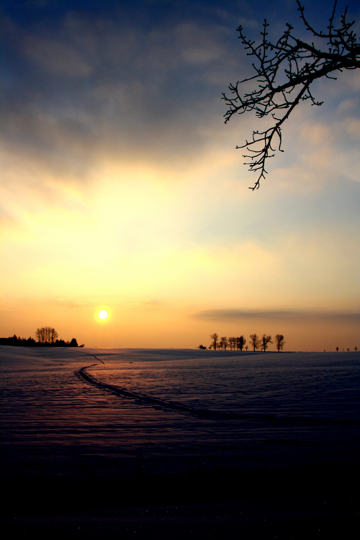 Einsame Spur in den Sonnenuntergang