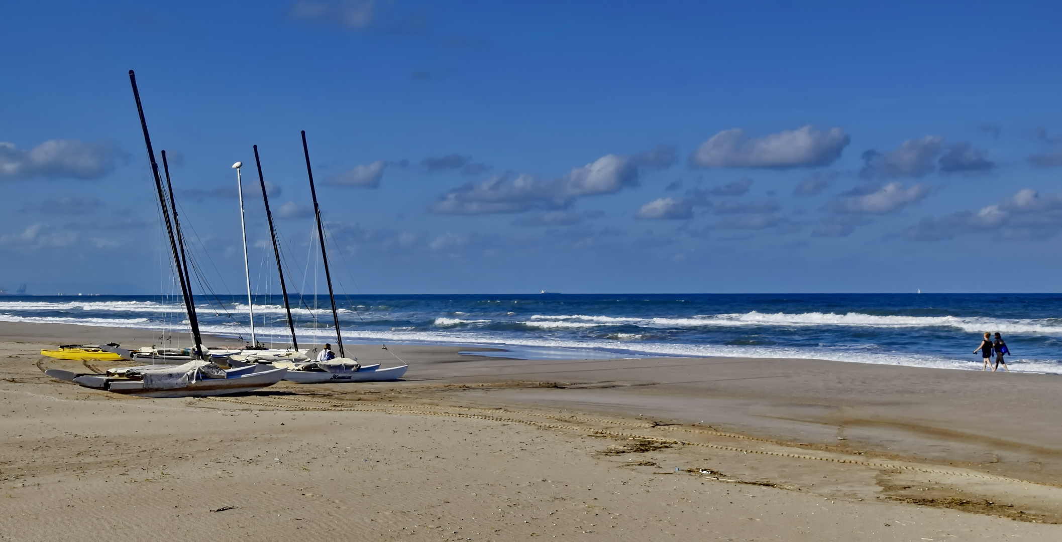 Einsame Strandläufer