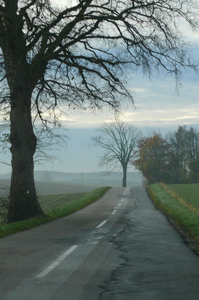 einsame Straße in Dänemark