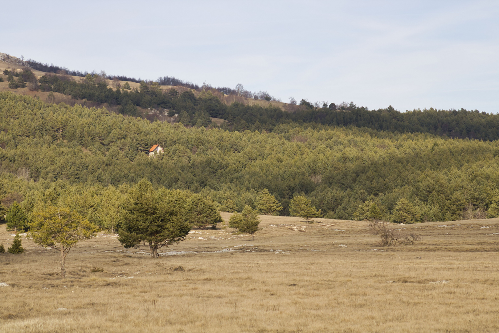 Einsame Waldhütte