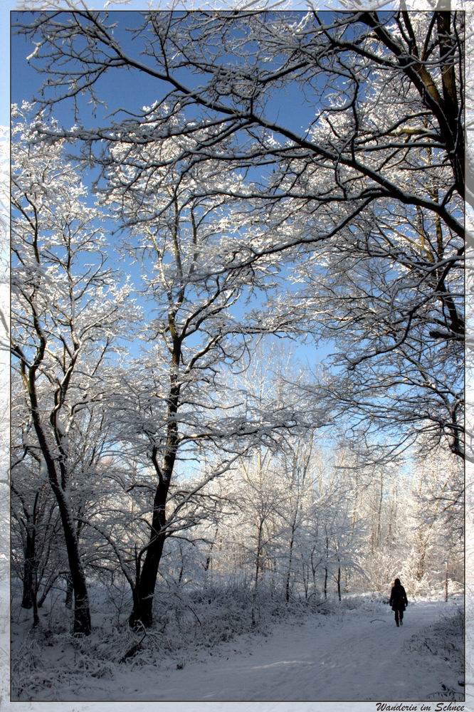 einsame Wanderin im Schnee