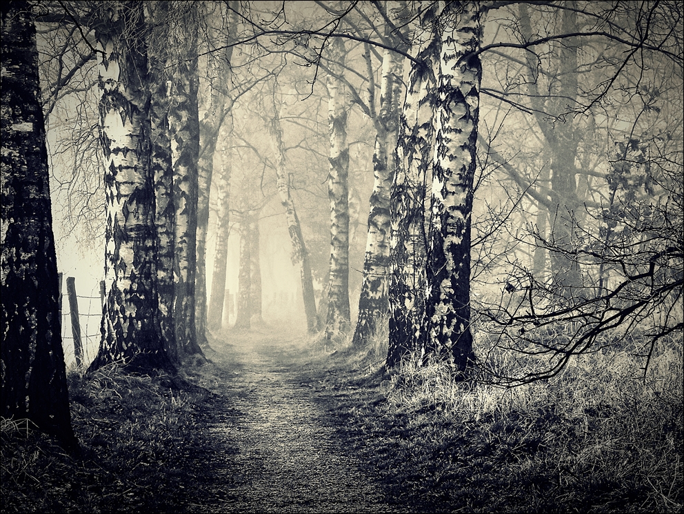 einsame Wege Foto & Bild natur, fine art, landschaft Bilder auf