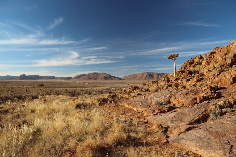 ... einsame Weite in der Namib ...