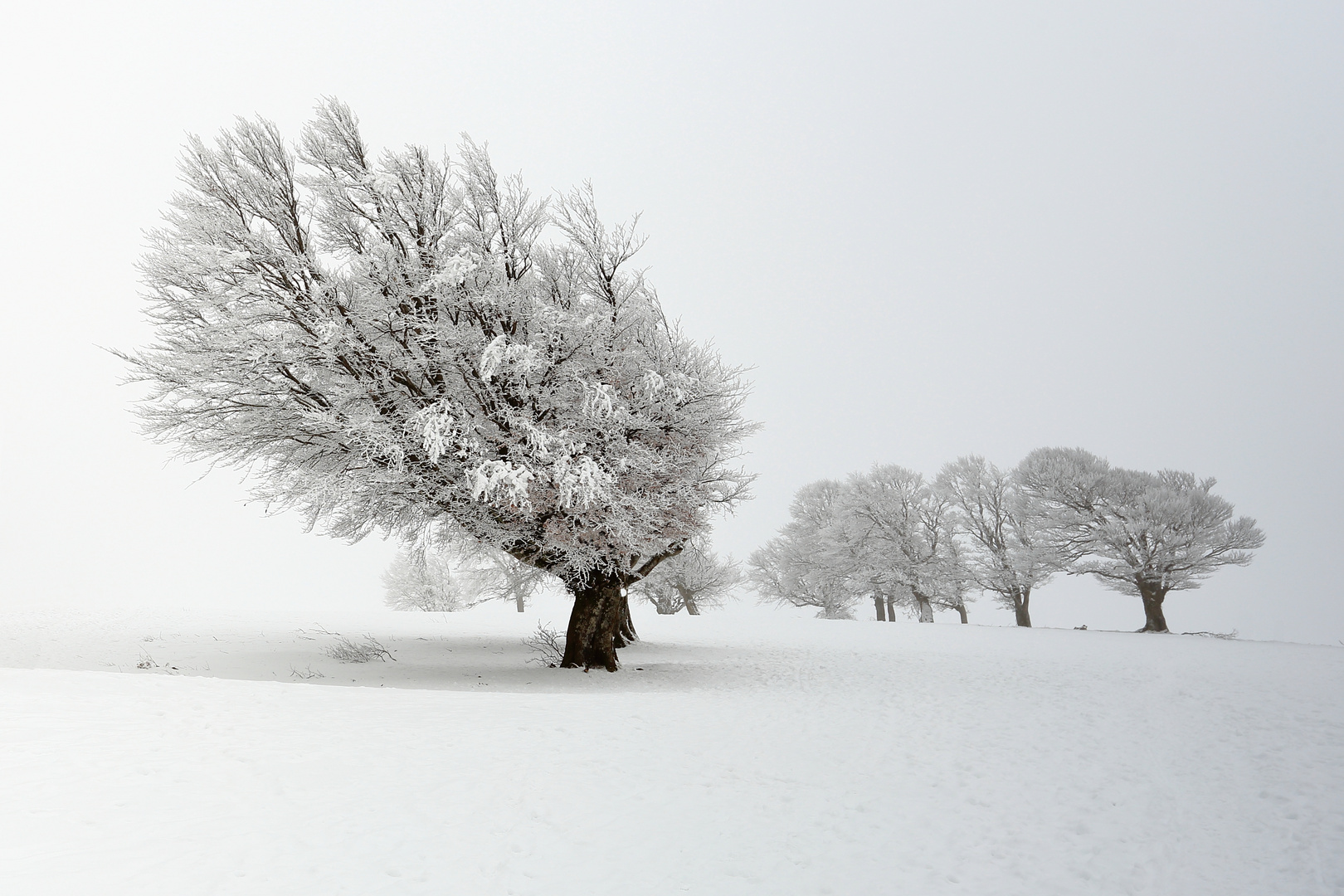 Einsame Winterlandschaft