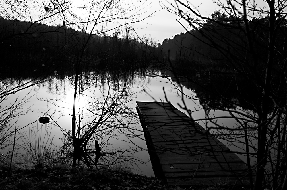 einsamer Angelsteg in einem Wald in Polen