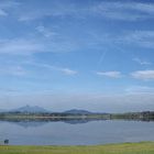 einsamer Angler am Hopfensee