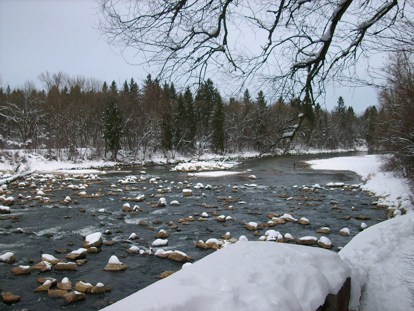 Einsamer Angler in der Isar bei Ismaning, Dezember 2013