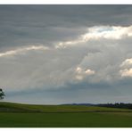 Einsamer Baum