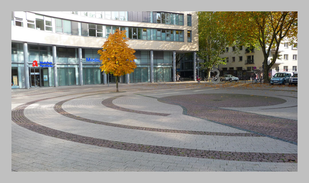 Einsamer Baum im Mediapark Köln