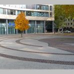 Einsamer Baum im Mediapark Köln