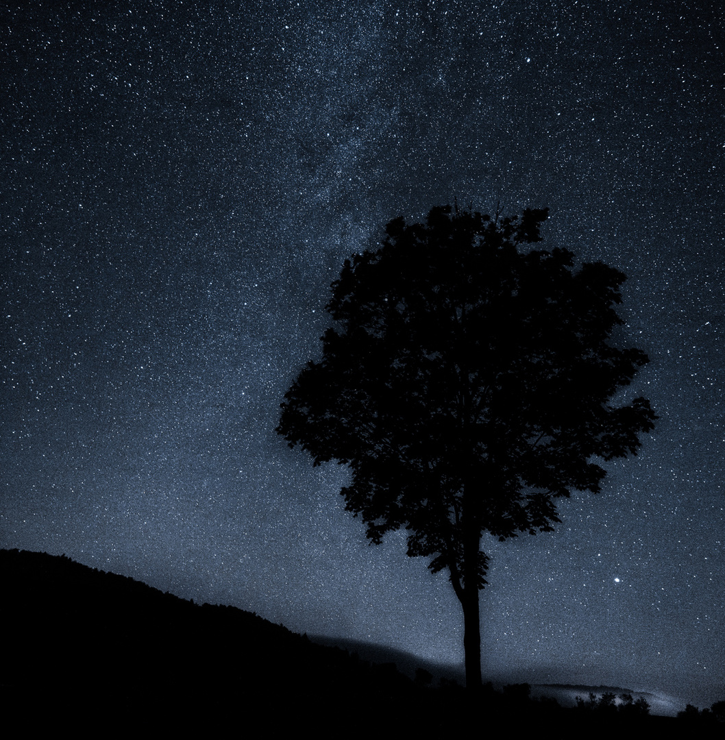 Einsamer Baum in finsterer Nacht