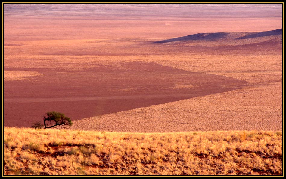 Einsamer Baum in weiter Ferne (RELOAD) Foto & Bild | africa, southern