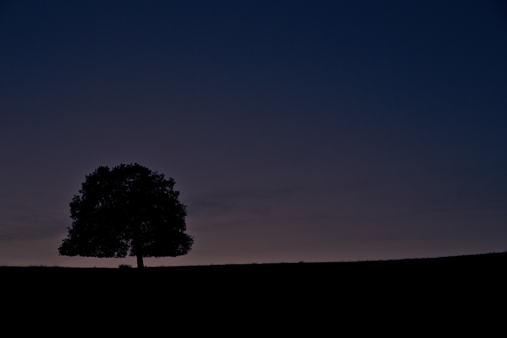 Einsamer Baum nach Sonnenuntergang