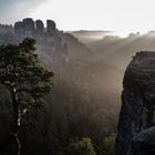 Einsamer Baum Teil 2