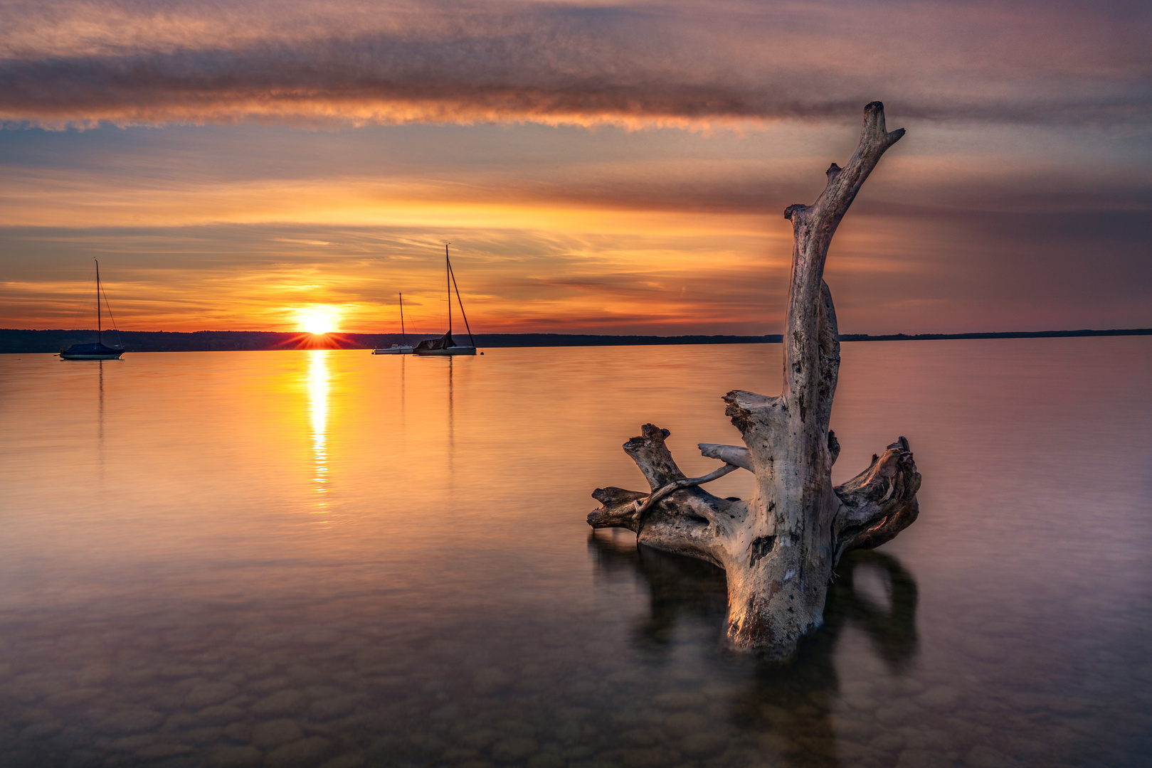 Einsamer Baumstamm im Ammersee